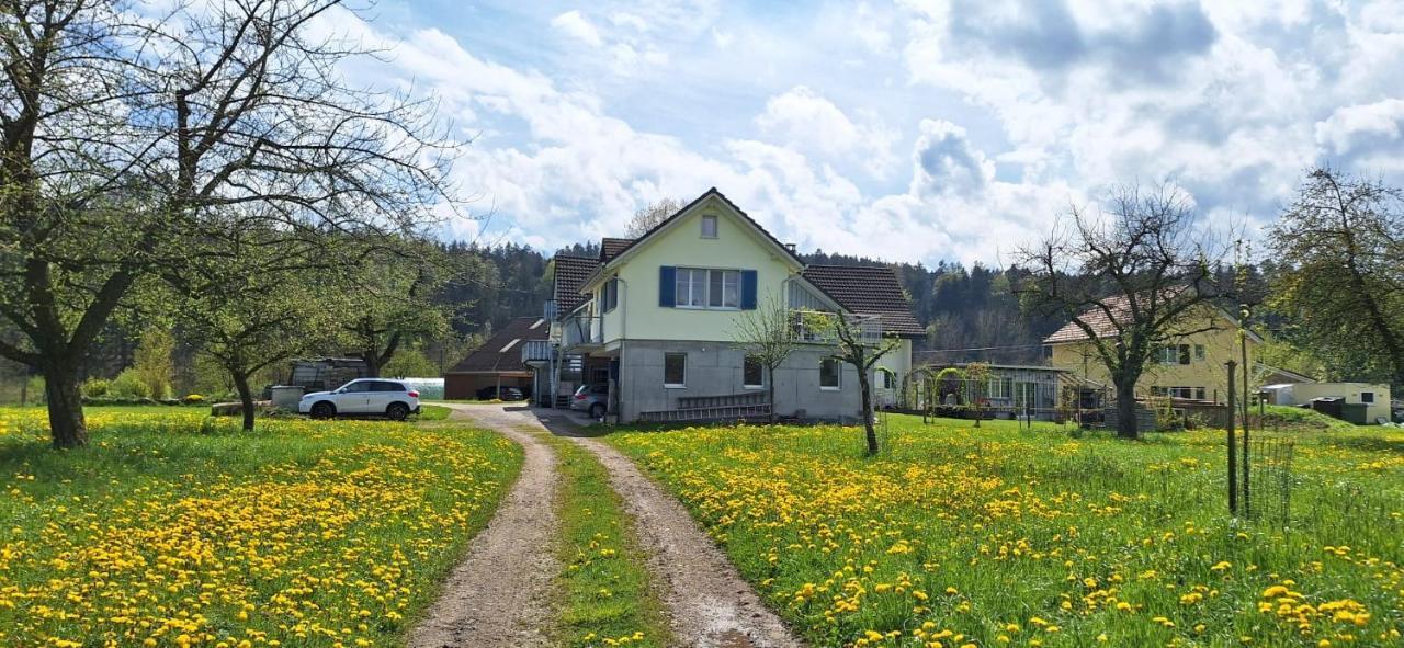 Sitter-Panorama Apartment Bischofszell Exterior photo